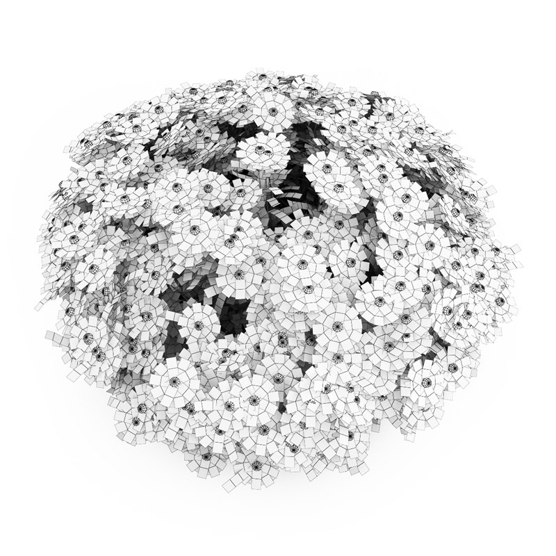 Yellow Sneezeweed 3D model_3