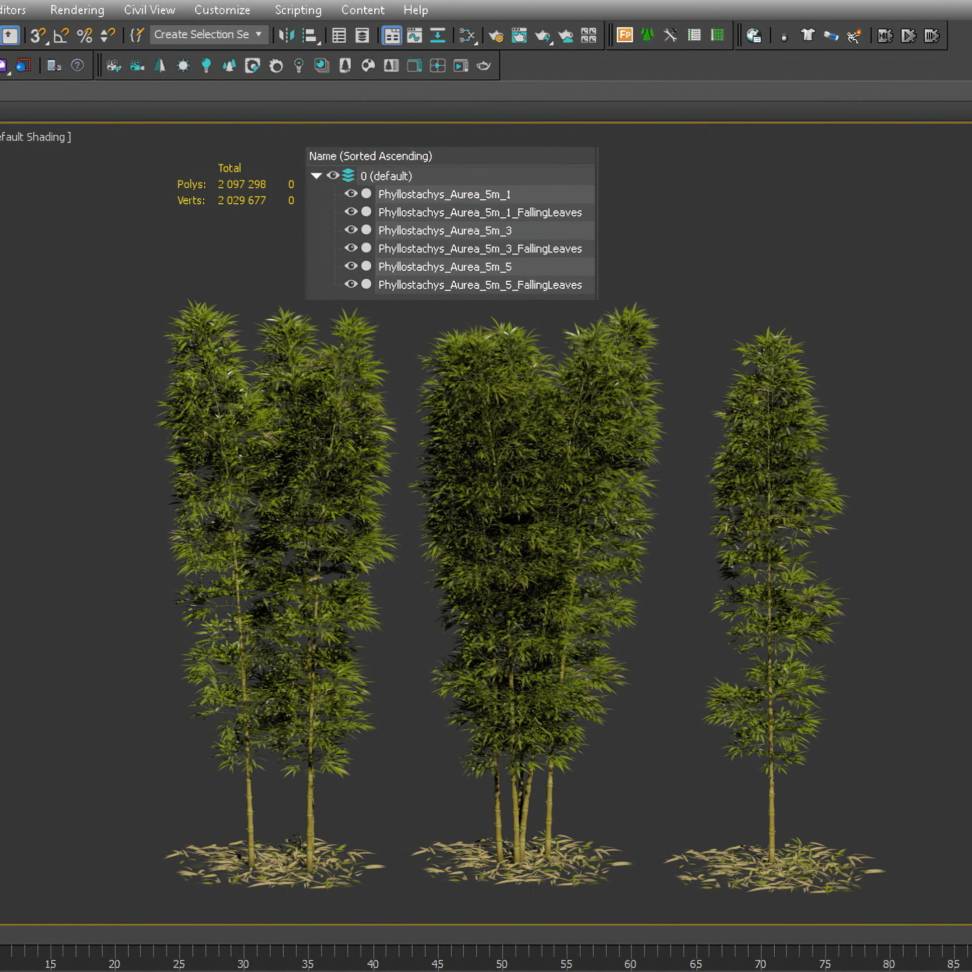 Bamboo Phyllostachys Aurea 5m 3D model_2