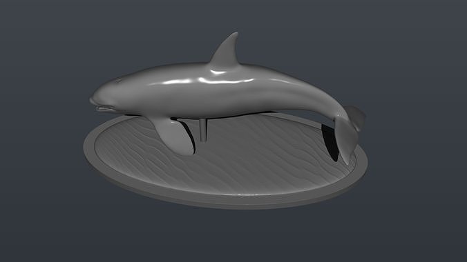 Killer whale Orca with base 3D print model