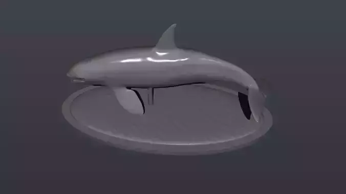 Killer whale Orca with base