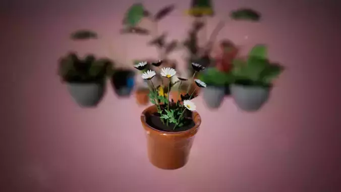 Pot Plant 11 Assets Low-poly 3D model