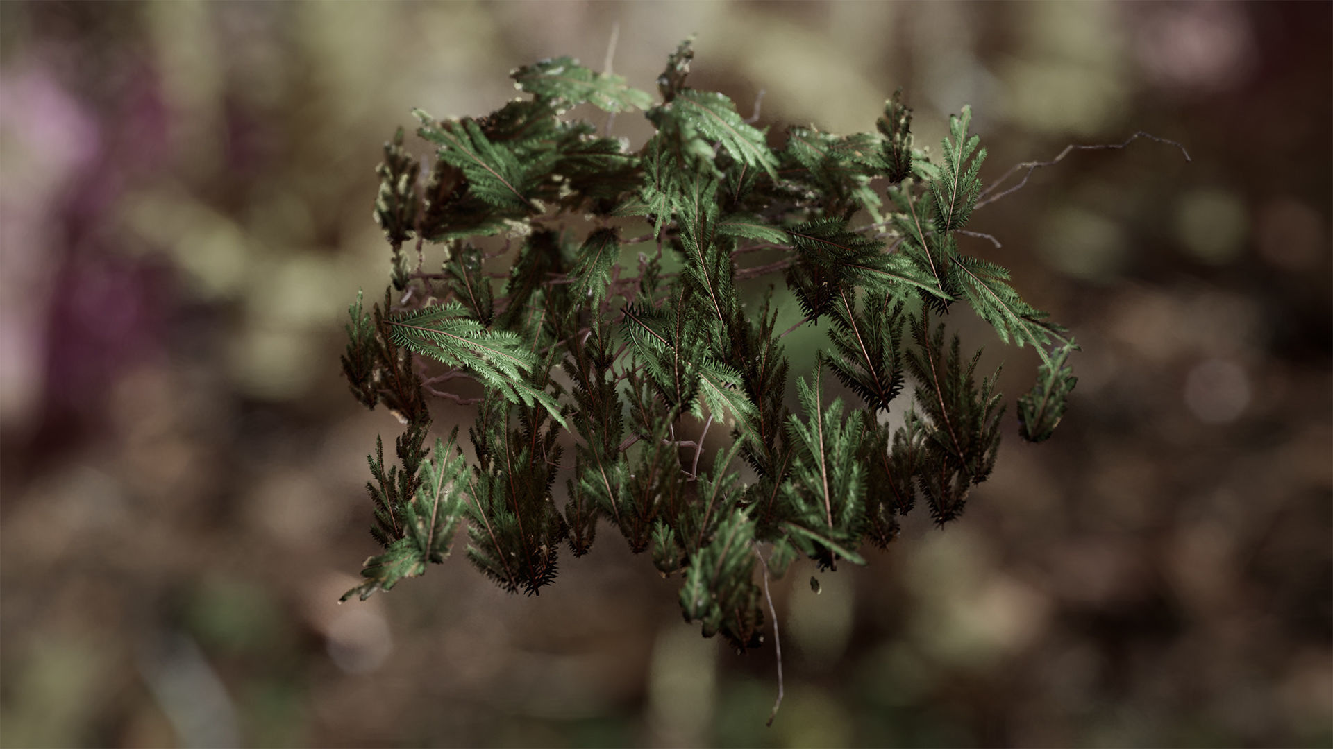 Ground Plants 21 Assets Low-poly 3D model_17