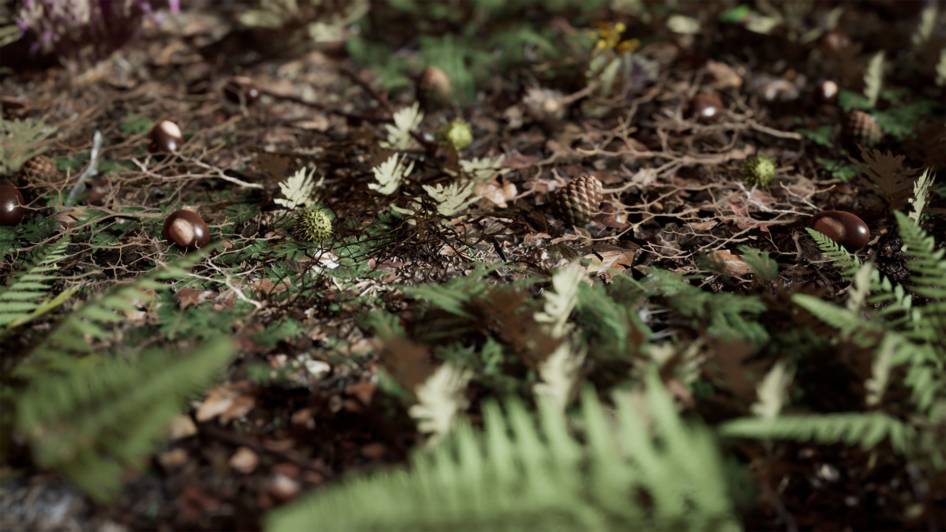 Ground Plants 21 Assets Low-poly 3D model_14