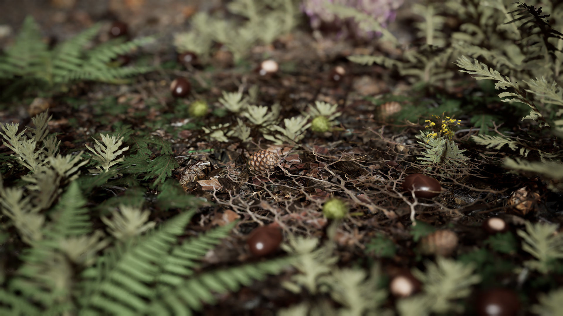 Ground Plants 21 Assets Low-poly 3D model_15