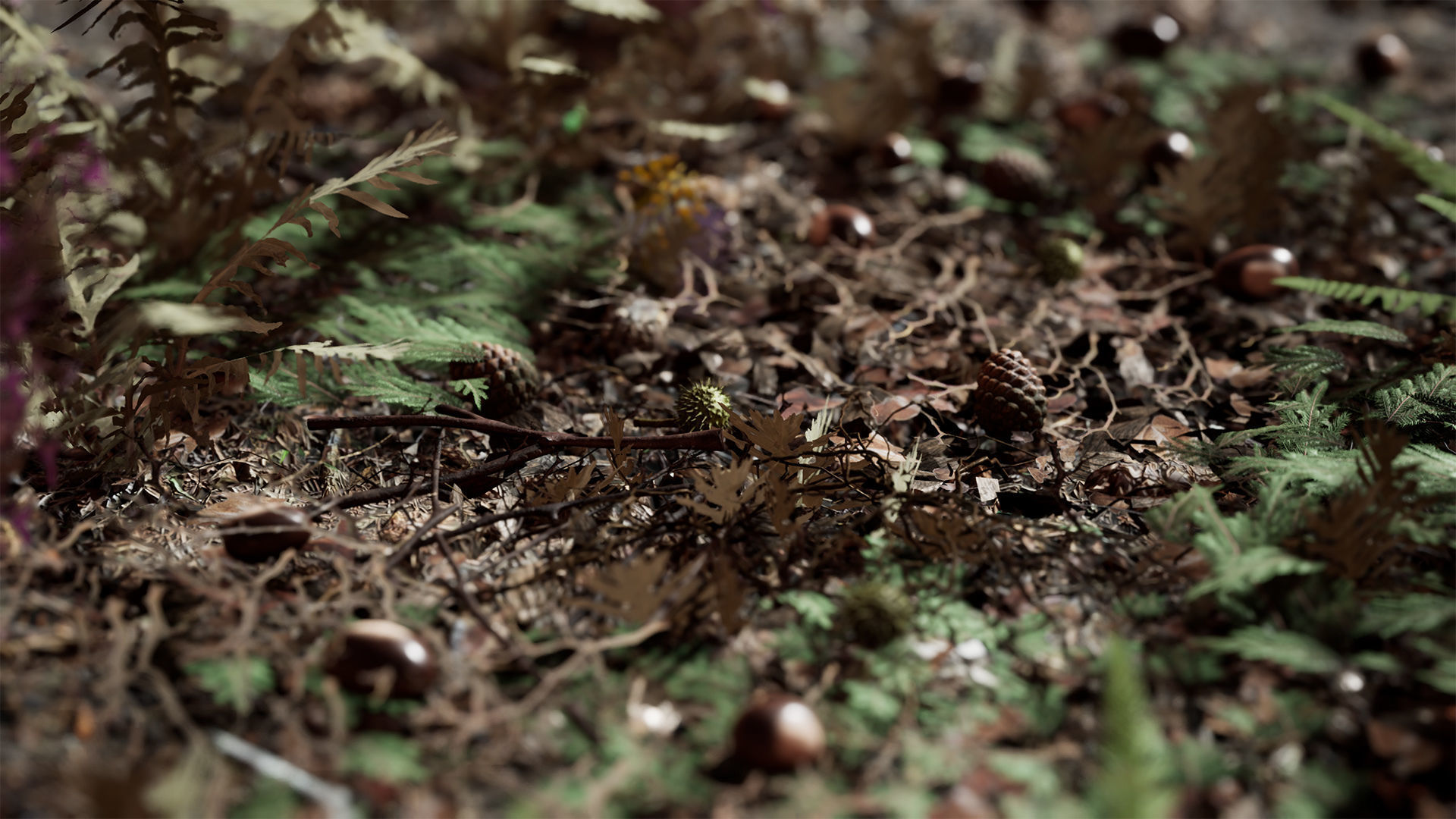 Ground Plants 21 Assets Low-poly 3D model_13