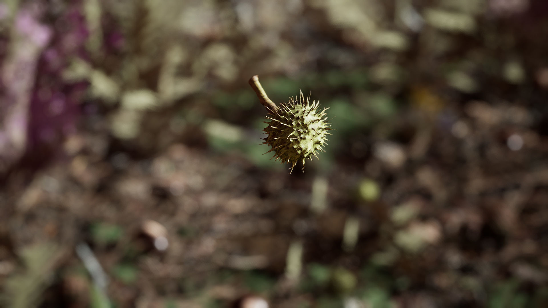 Ground Plants 21 Assets Low-poly 3D model_9