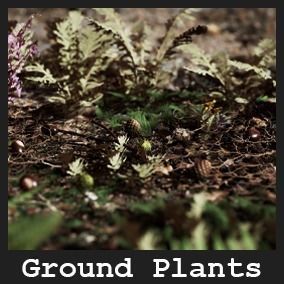 Ground Plants 21 Assets Low-poly 3D model_1