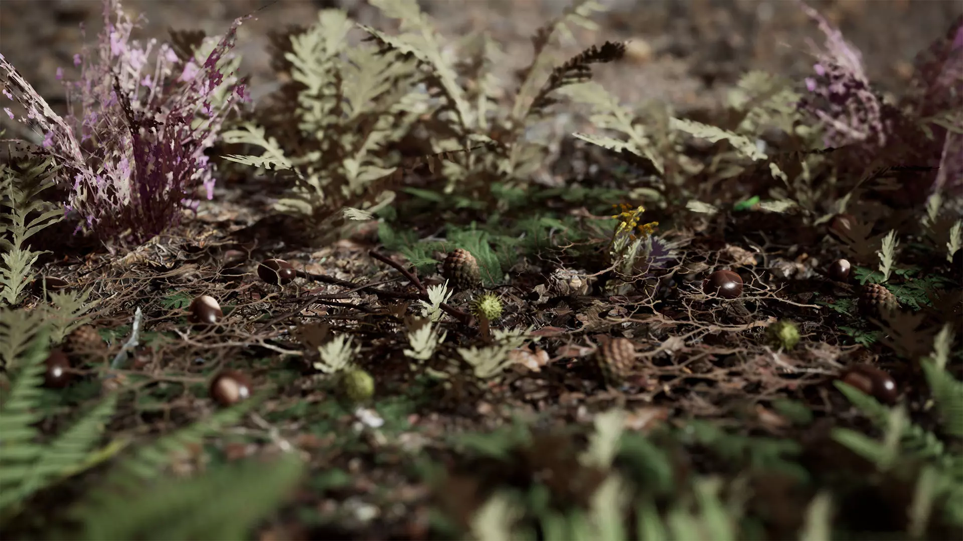 Ground Plants 21 Assets Low-poly 3D model_0