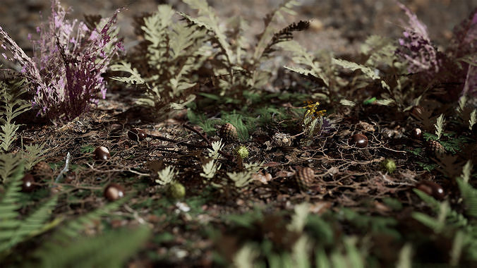 Ground Plants 21 Assets Low-poly 3D model