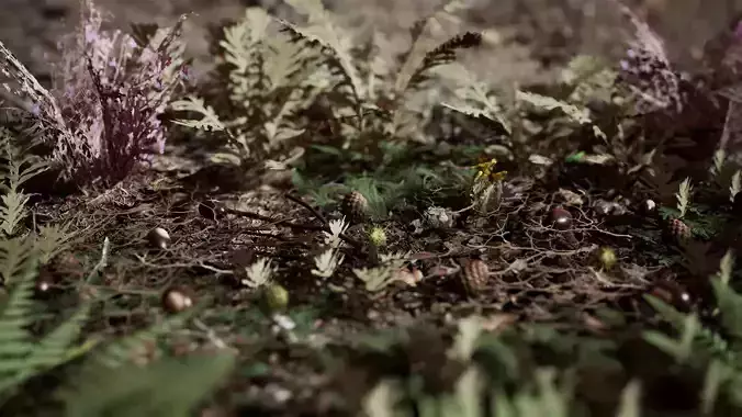 Ground Plants 21 Assets