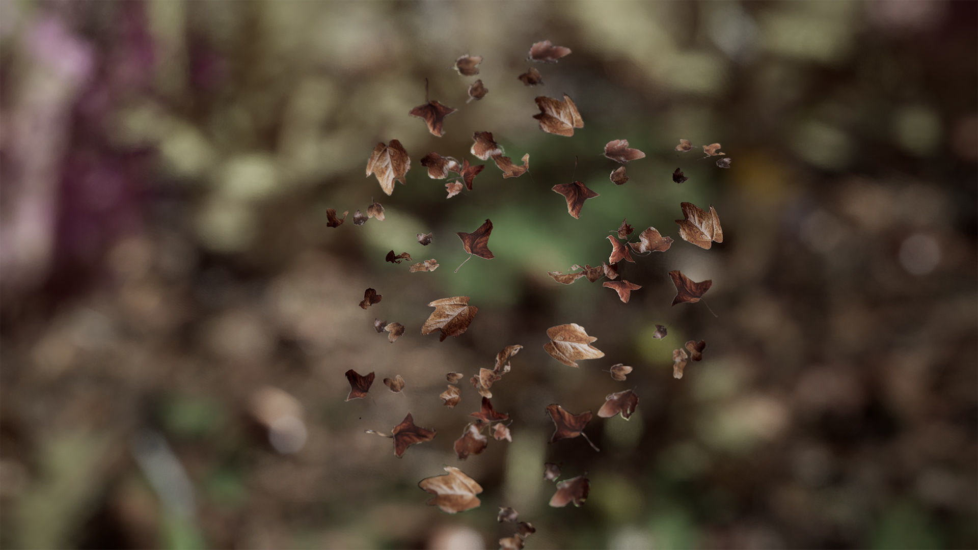 Ground Plants 21 Assets Low-poly 3D model_7