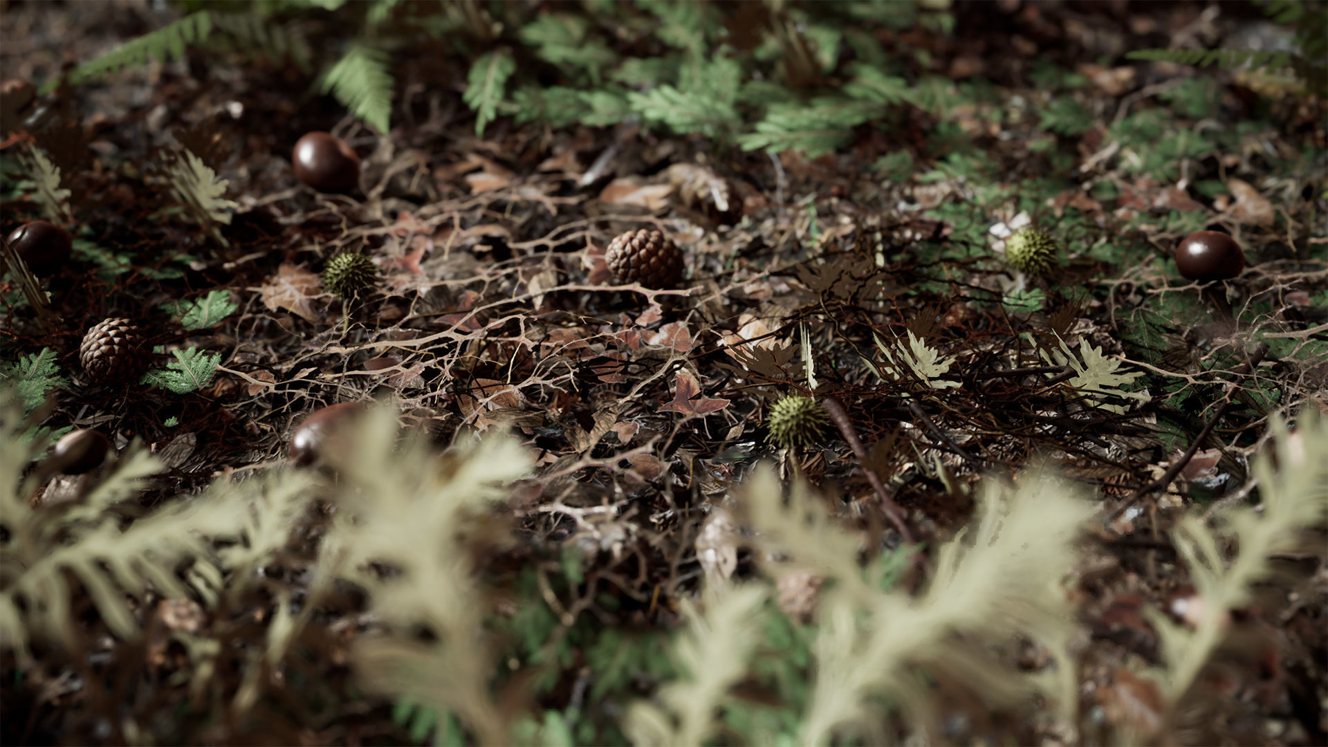 Ground Plants 21 Assets Low-poly 3D model_11