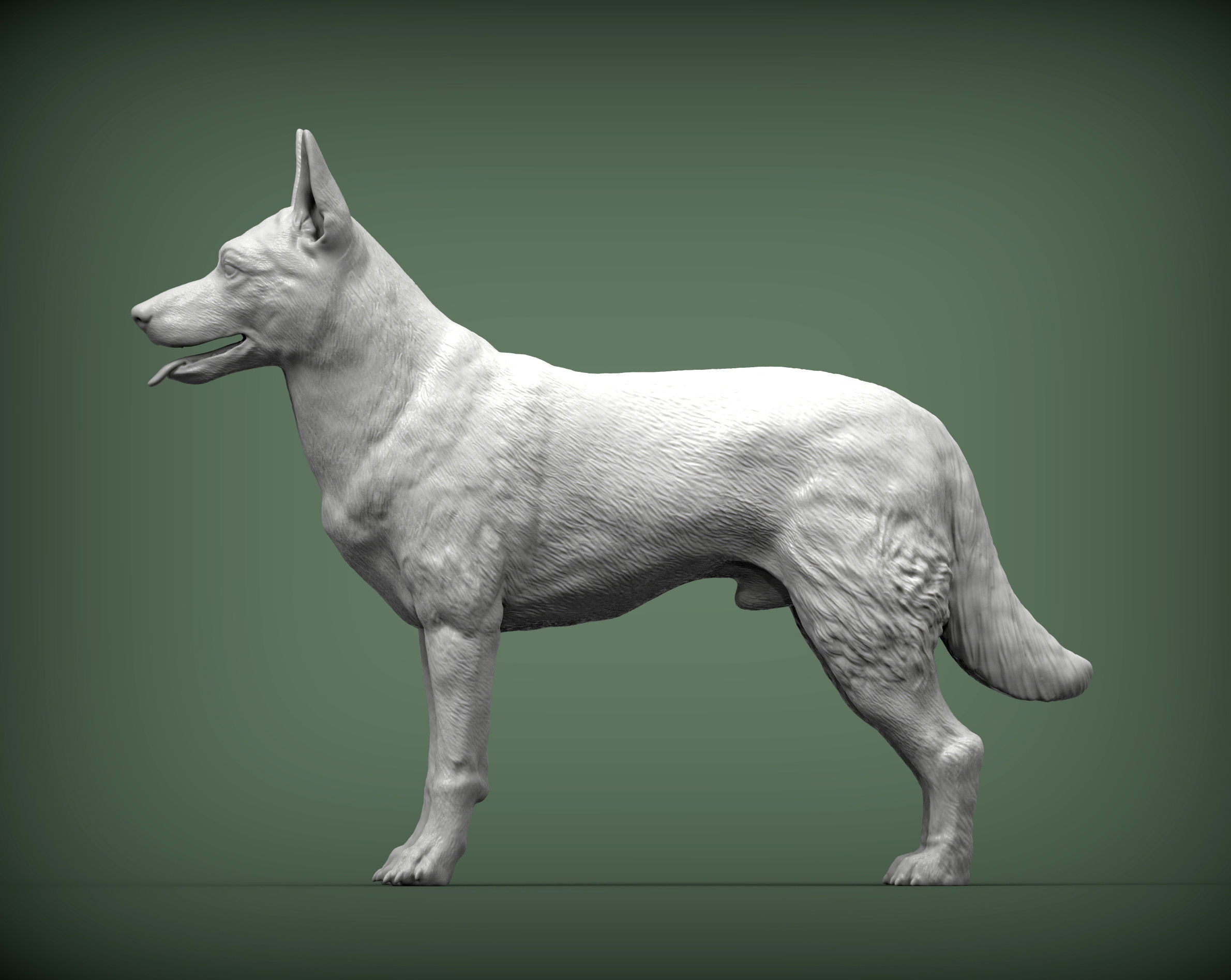 Belgian Malinois 3D print model_2