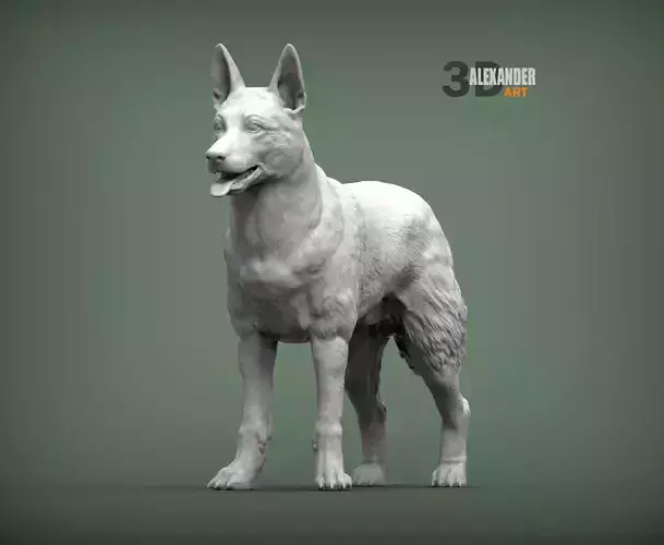 Belgian Malinois 3D print model