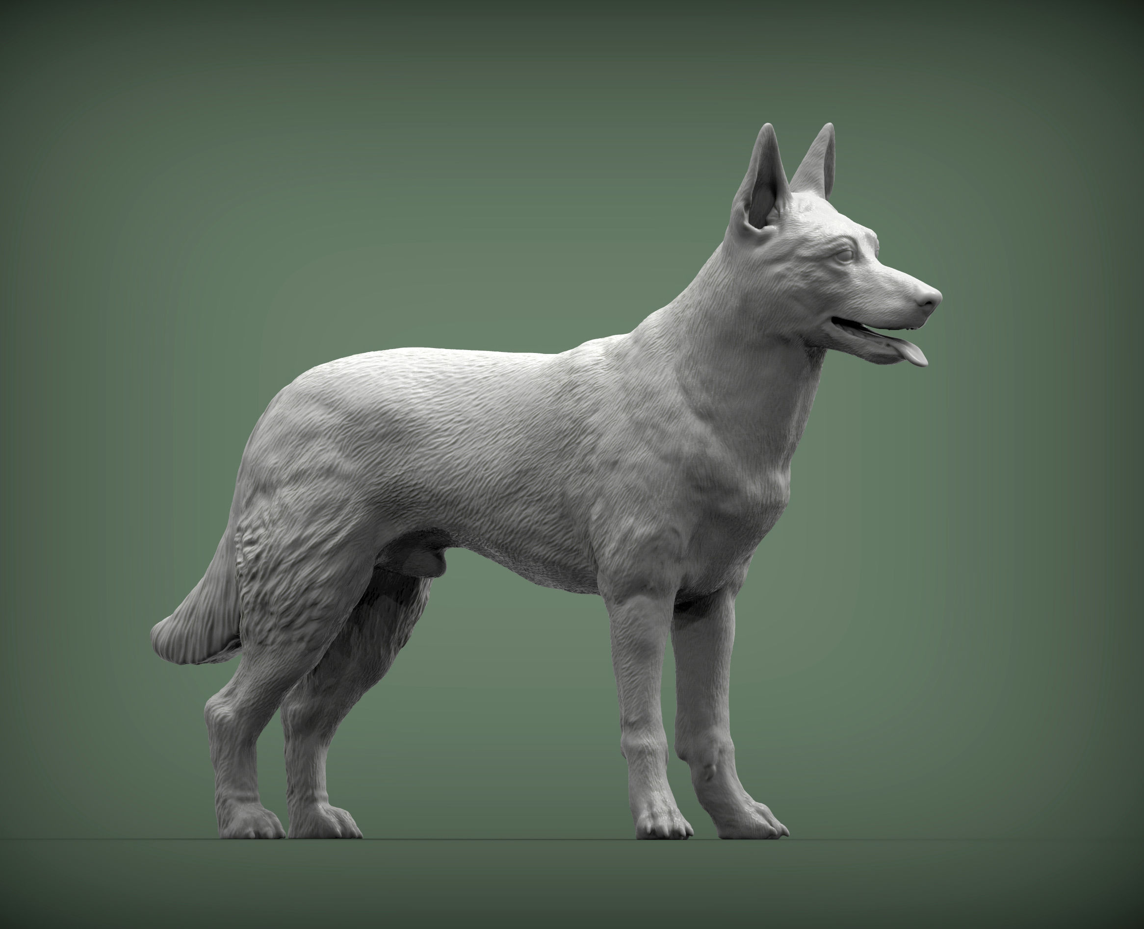 Belgian Malinois 3D print model_3