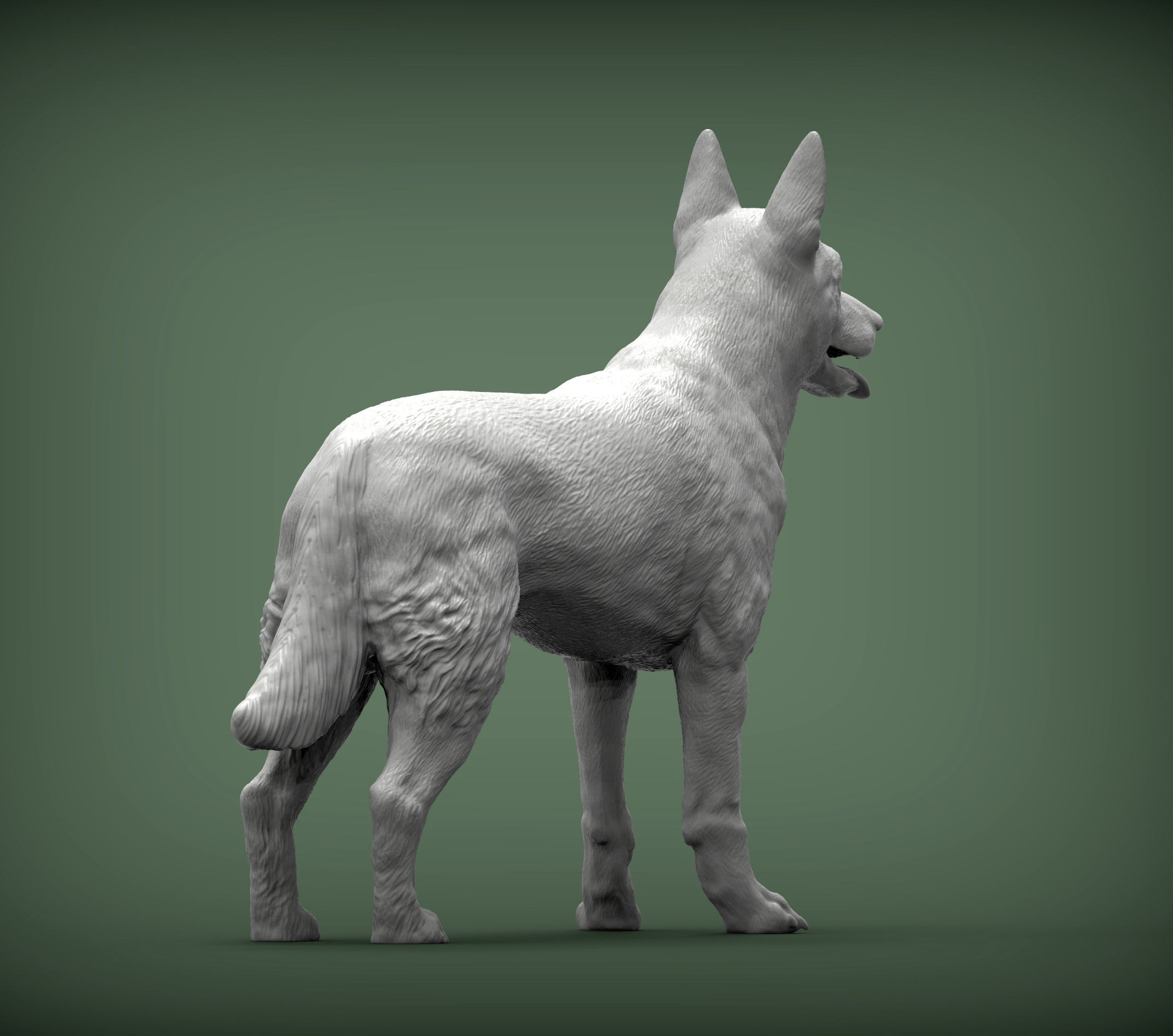 Belgian Malinois 3D print model_5