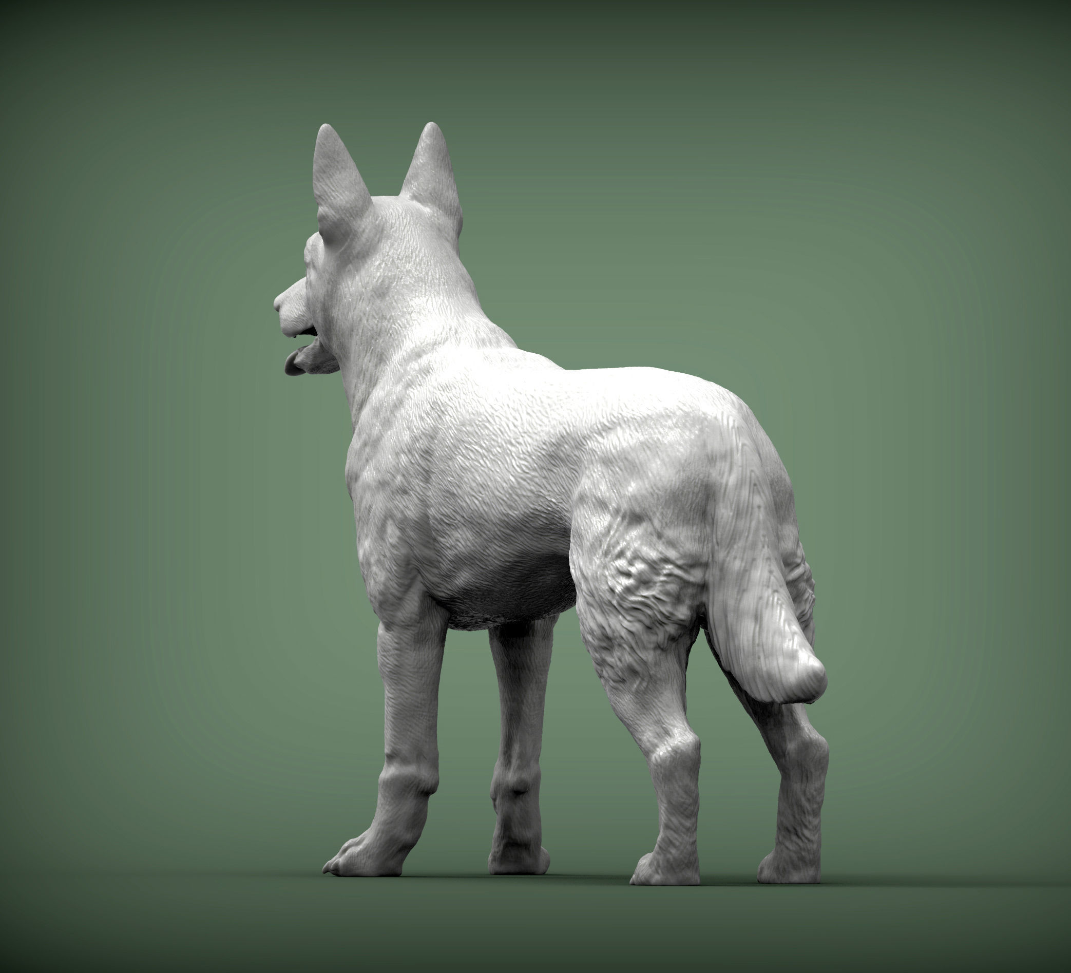 Belgian Malinois 3D print model_4