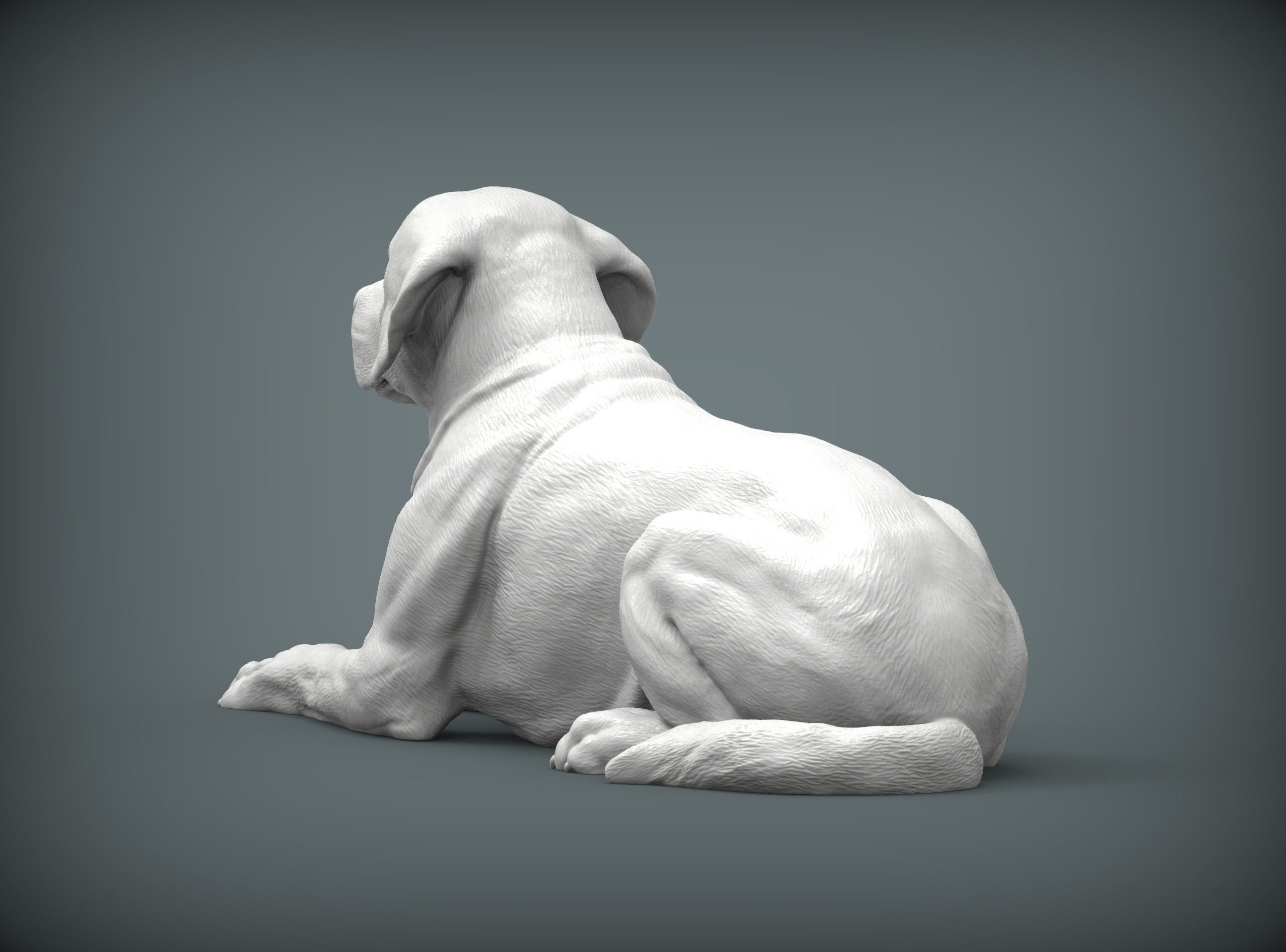 Labrador lies 3D print model_8