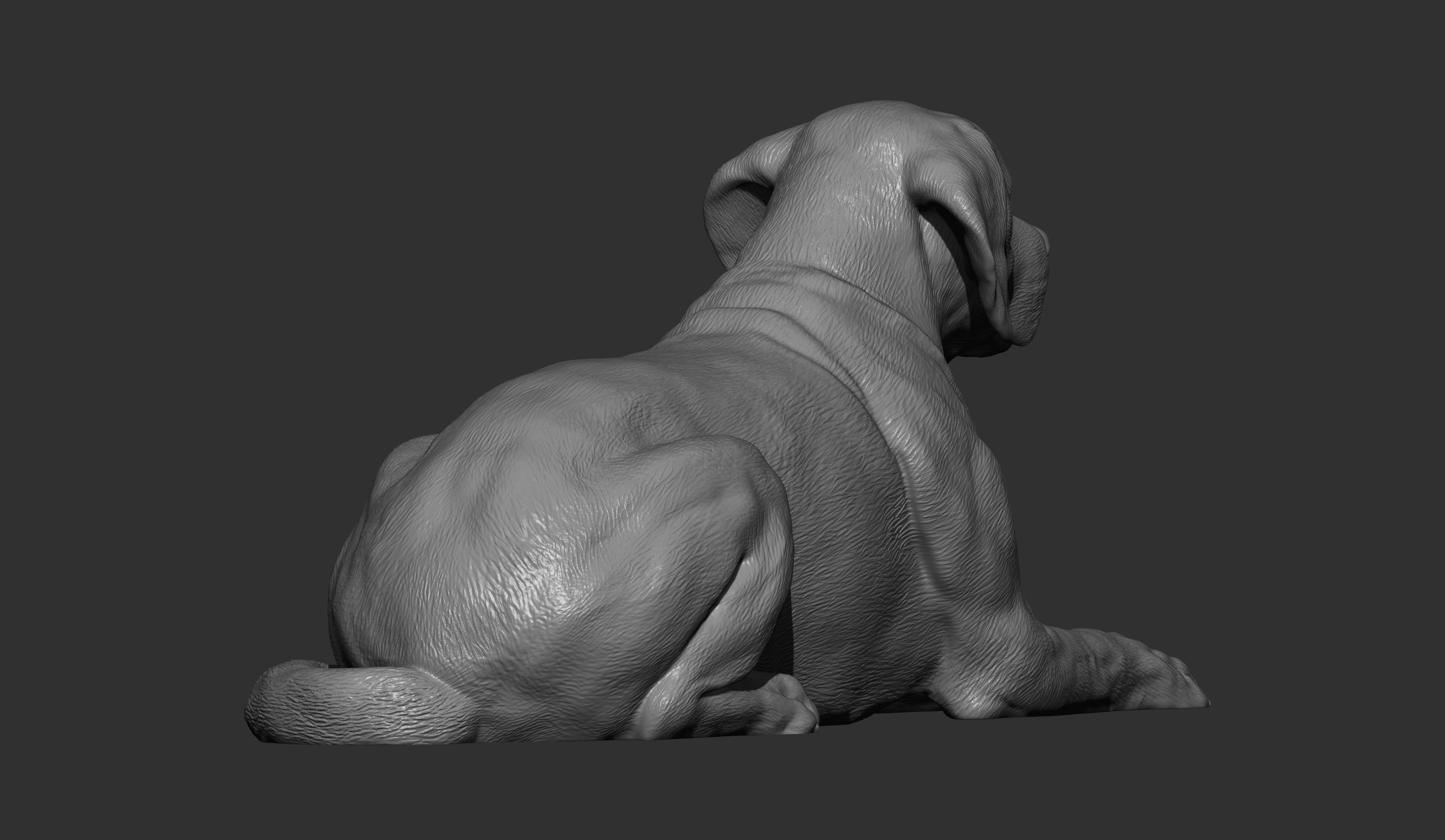 Labrador lies 3D print model_4