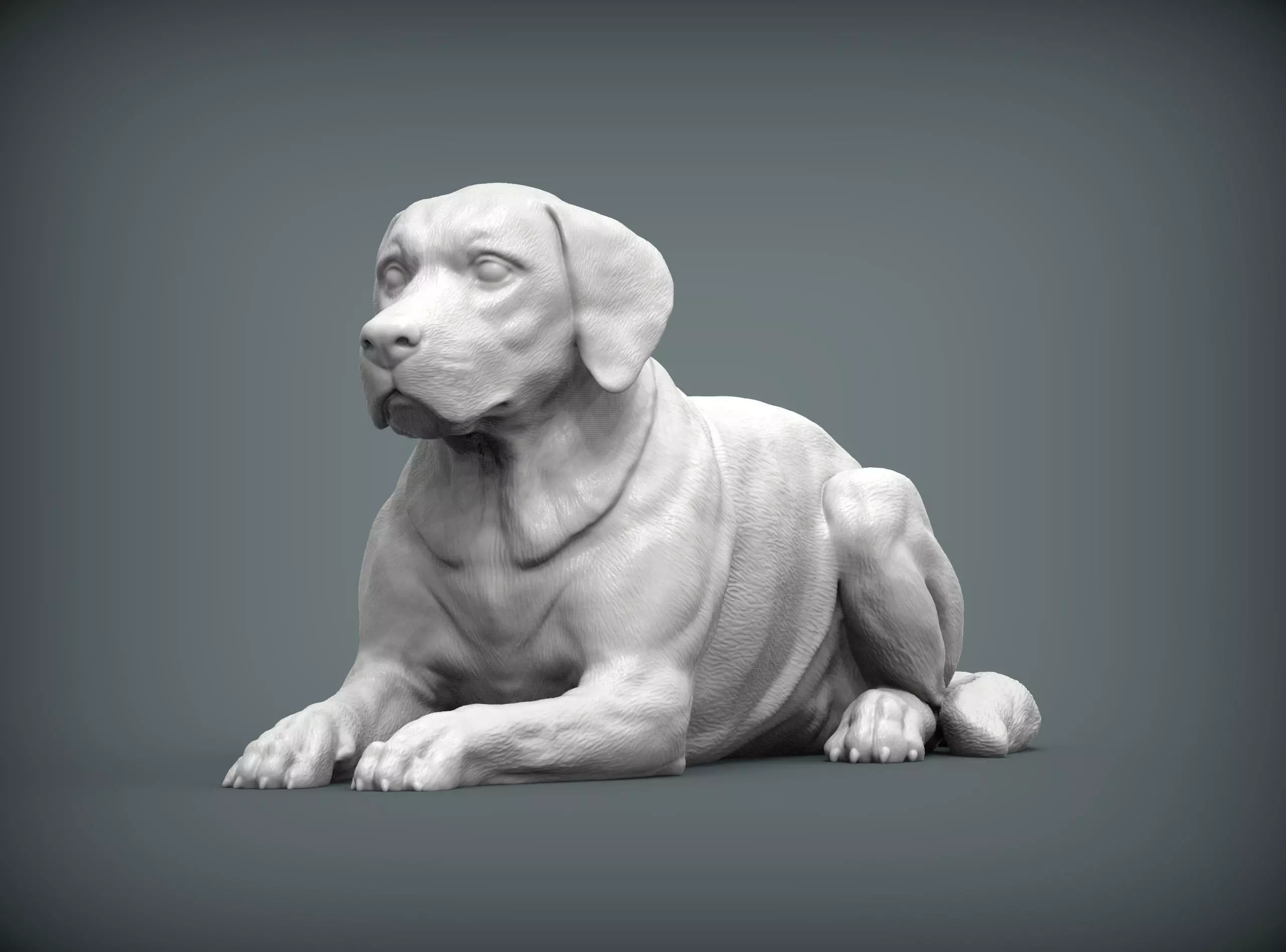 Labrador lies 3D print model_0