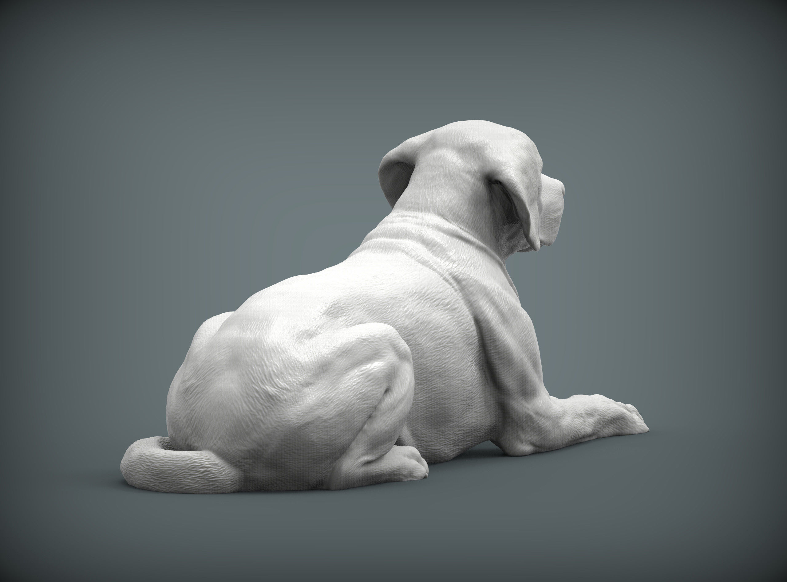 Labrador lies 3D print model_10