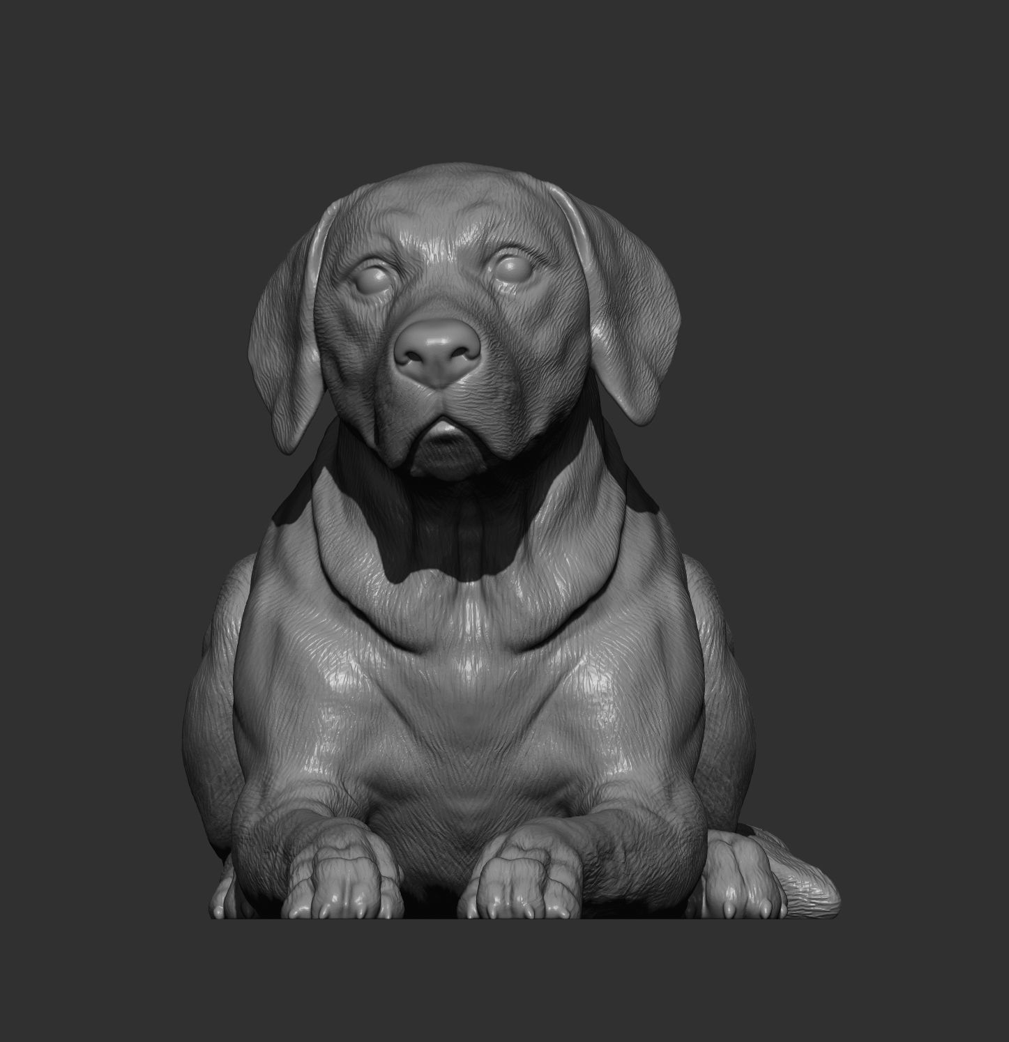 Labrador lies 3D print model_2