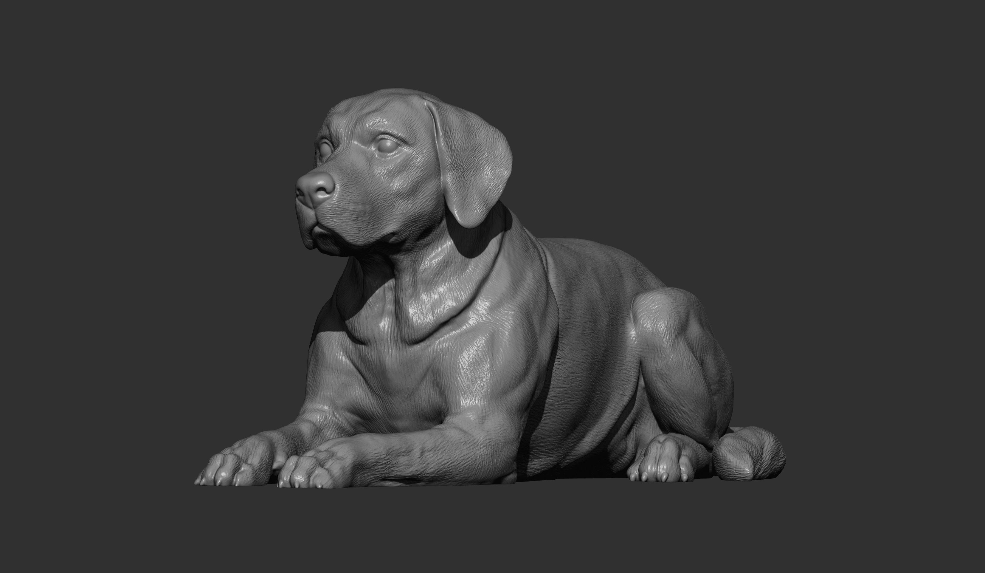 Labrador lies 3D print model_11