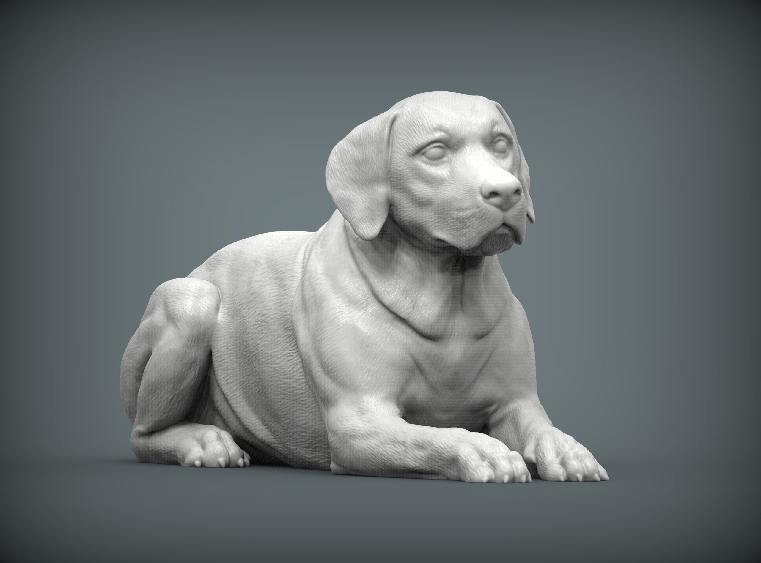 Labrador lies 3D print model_7