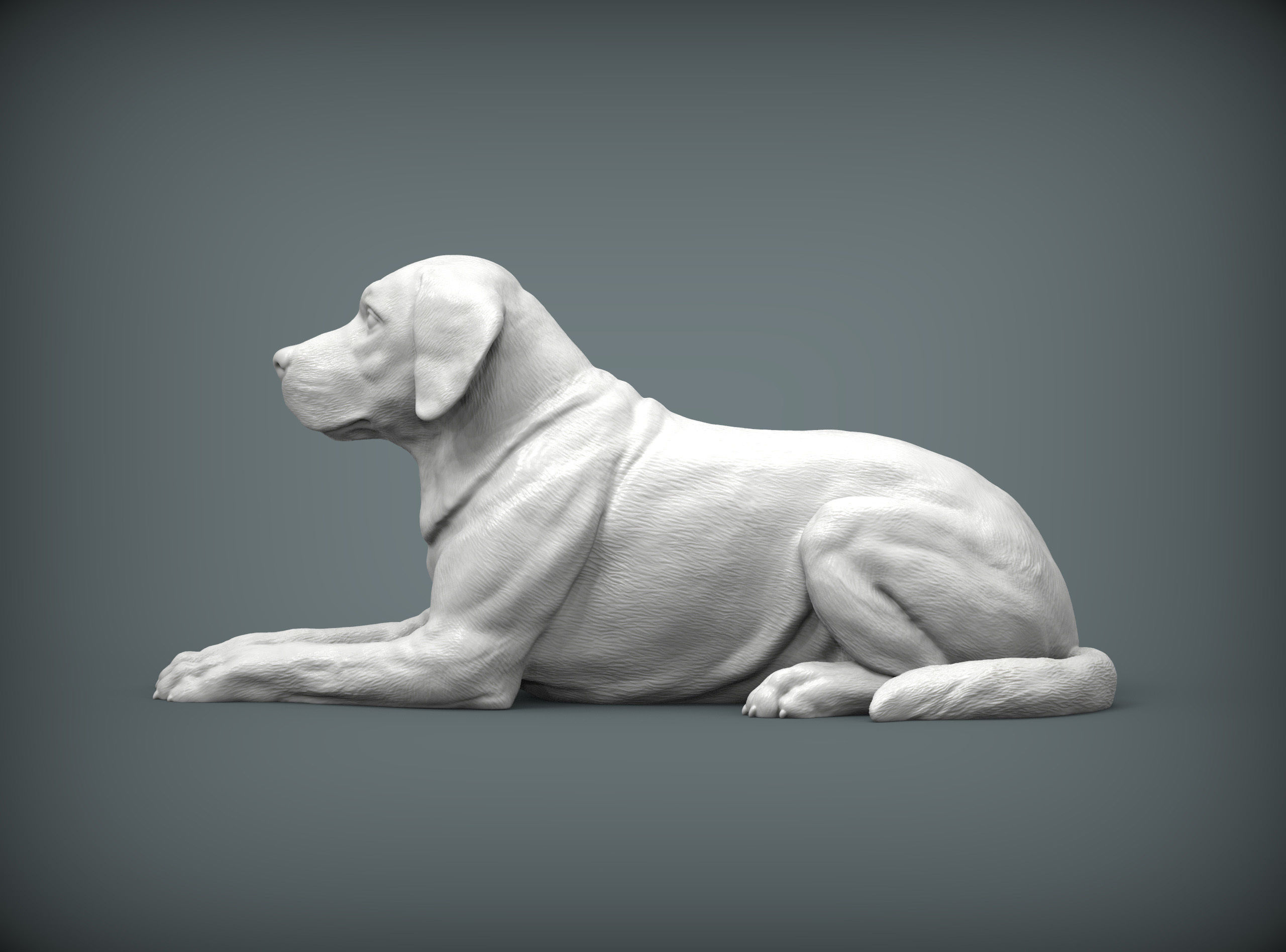 Labrador lies 3D print model_6