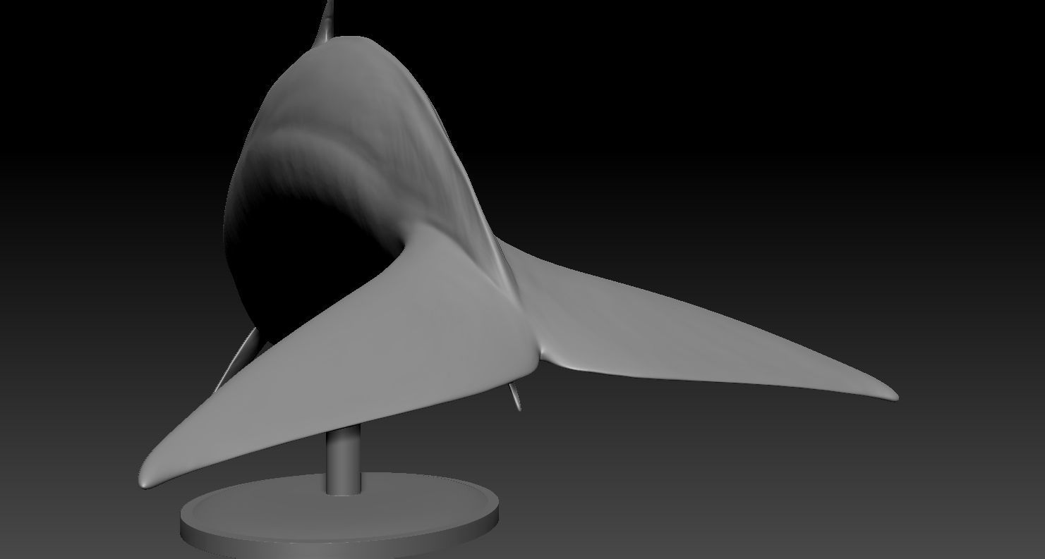 Realistic Whale 3D print model_7