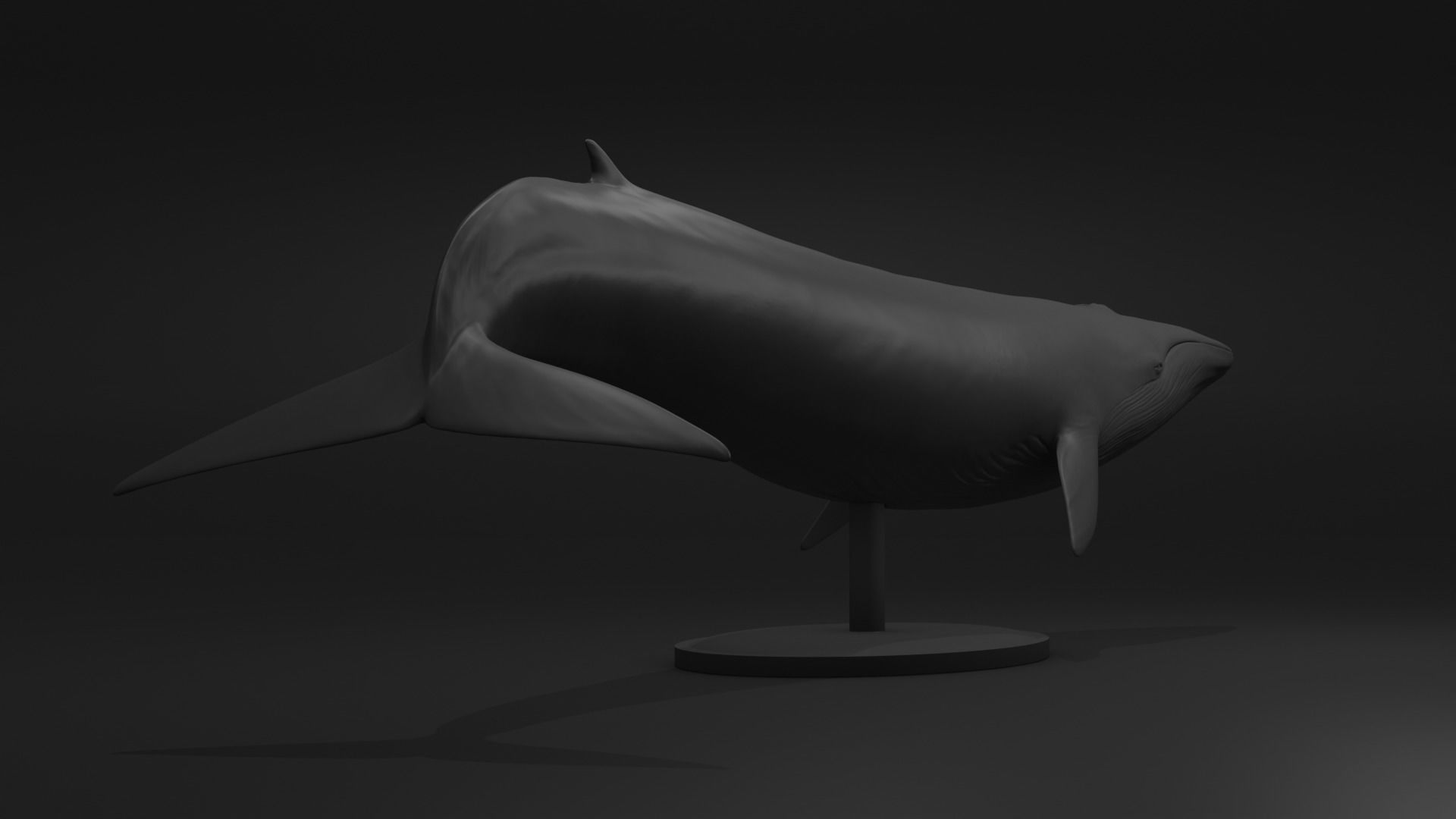 Realistic Whale 3D print model_1