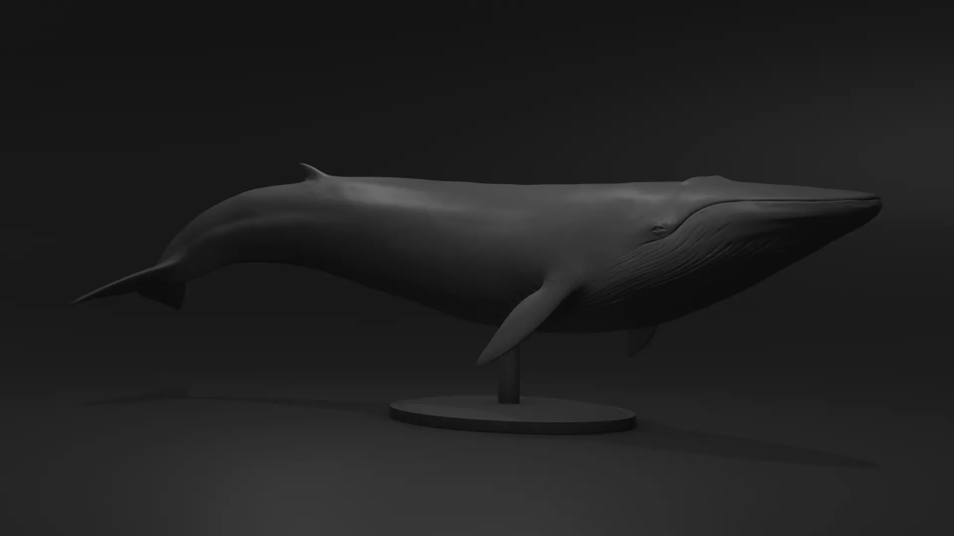 Realistic Whale 3D print model_0