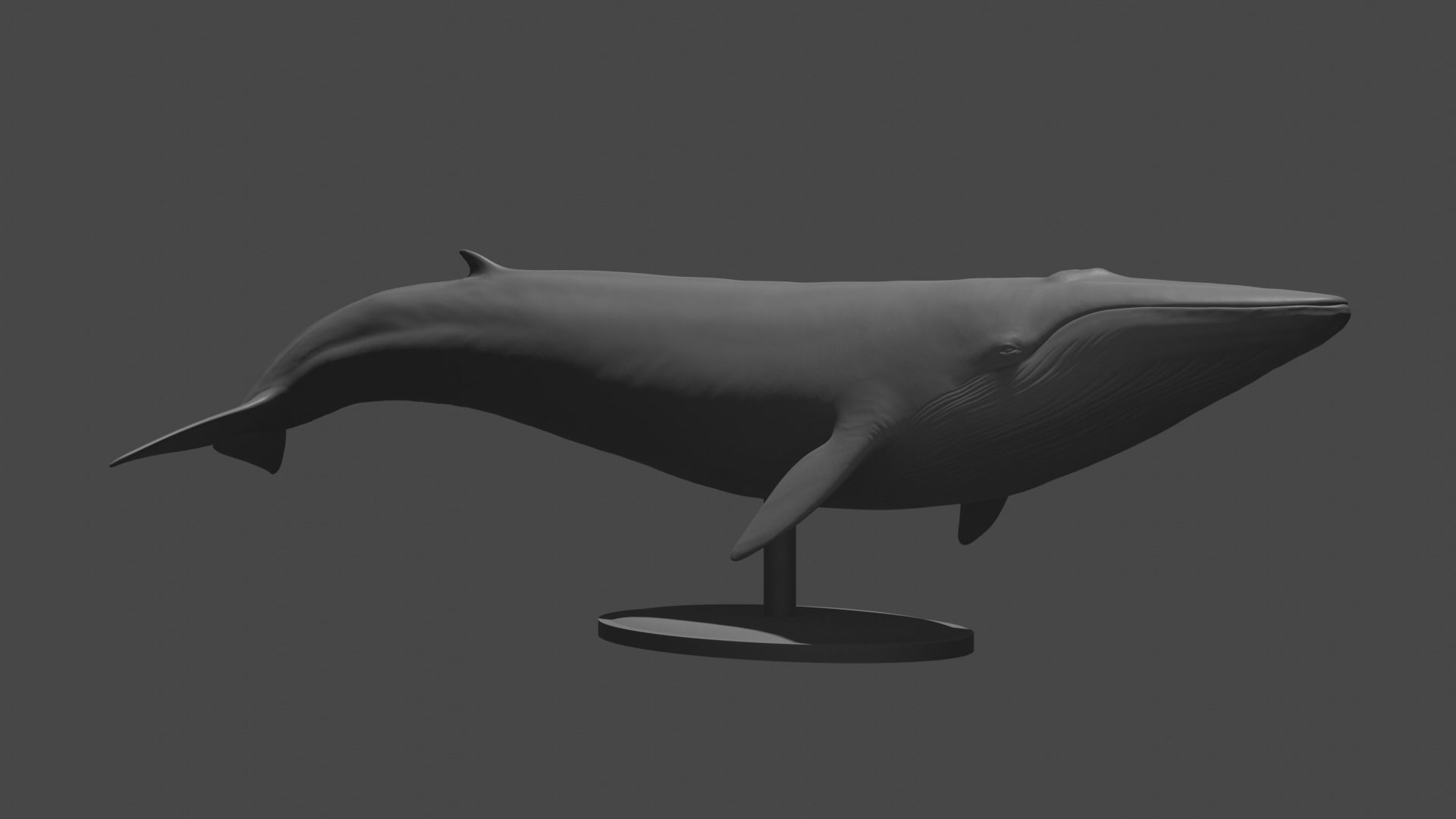 Realistic Whale 3D print model_2