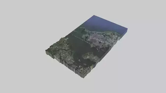 Saint Petersburg City