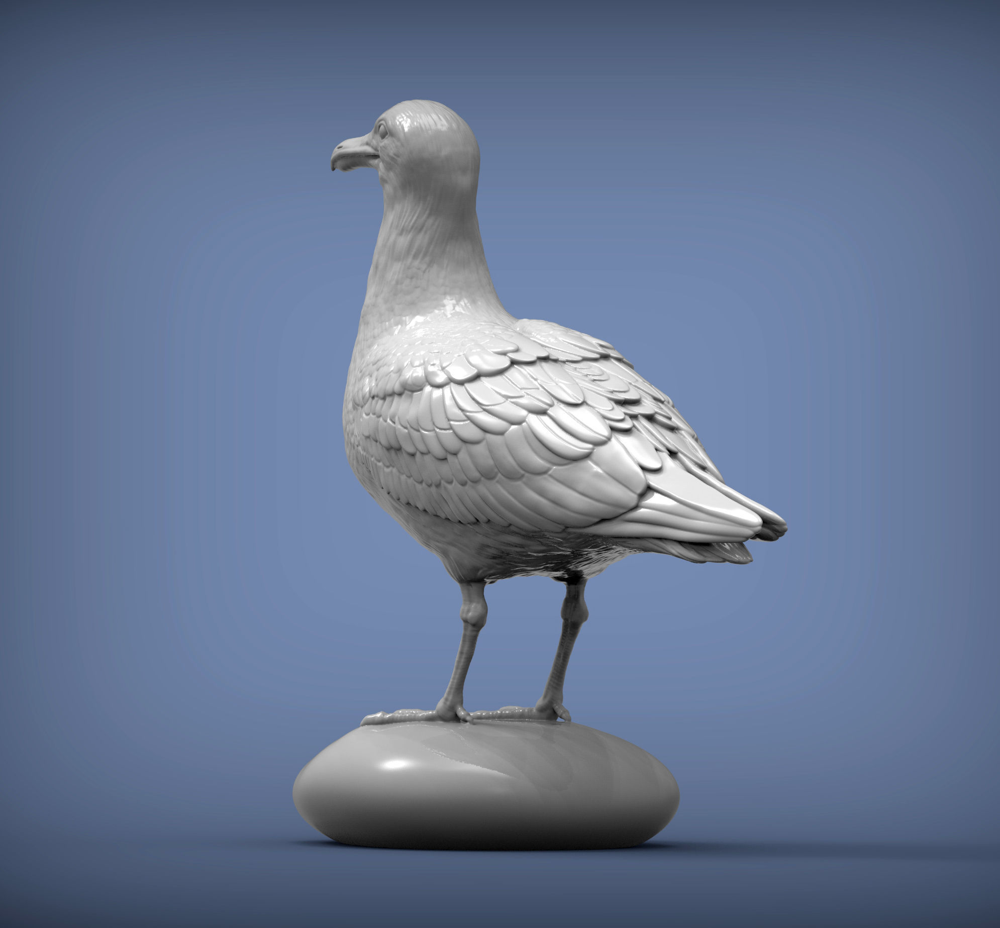 Herring gull 3D print model_2