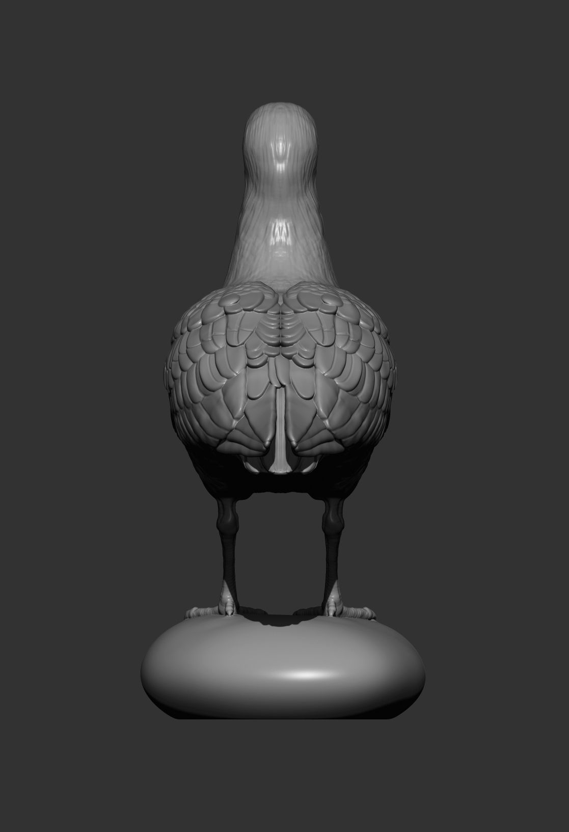 Herring gull 3D print model_8