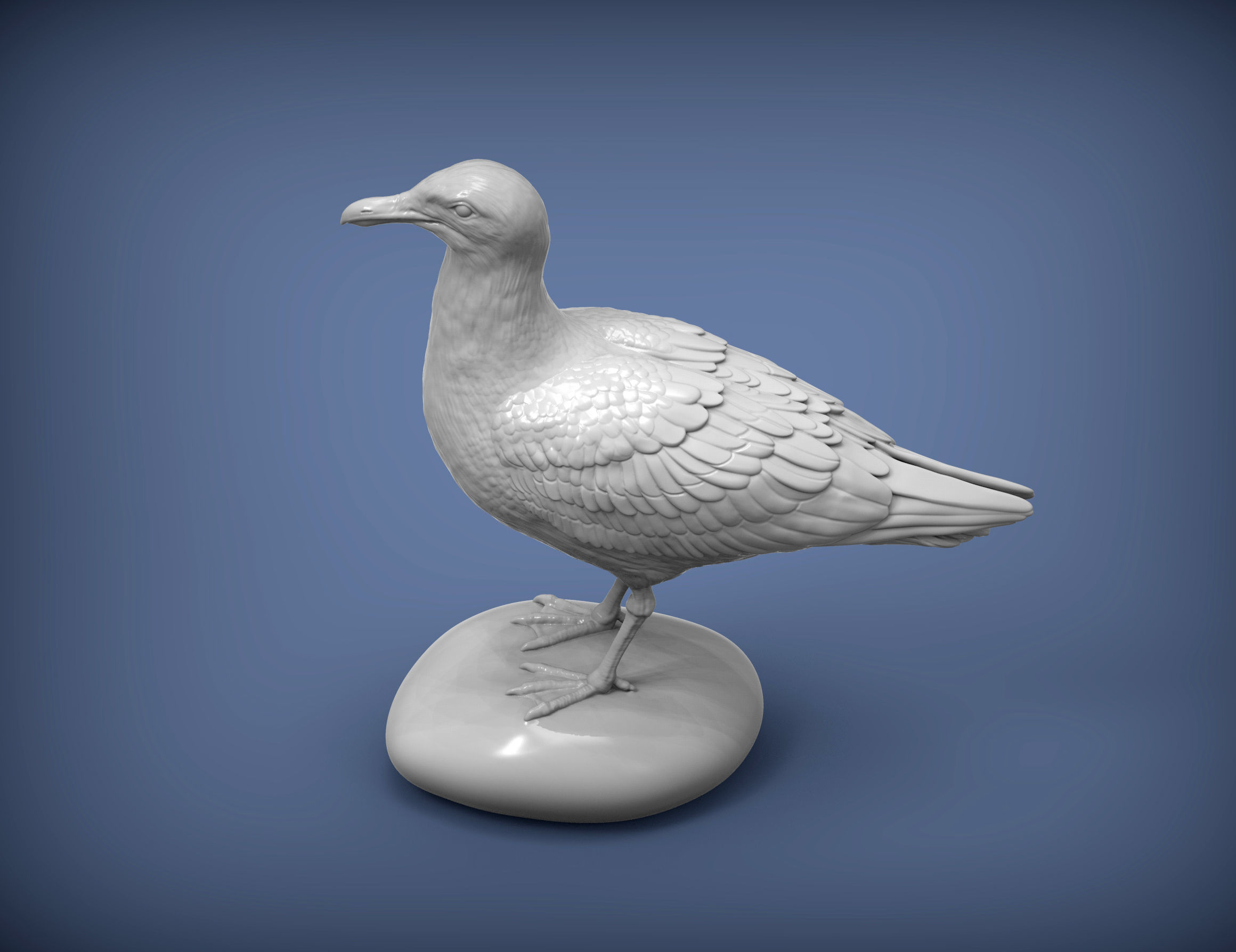 Herring gull 3D print model_3