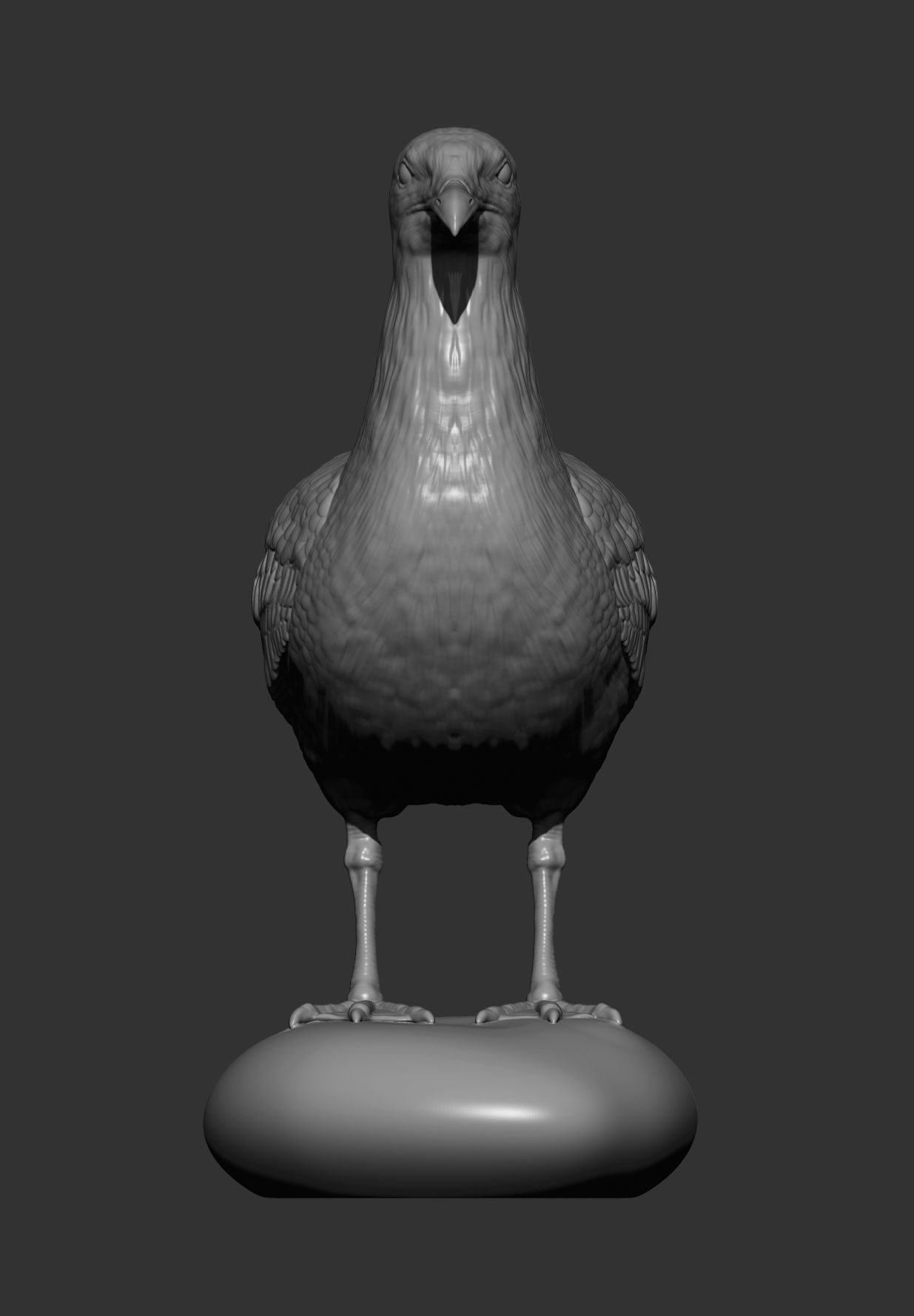 Herring gull 3D print model_9