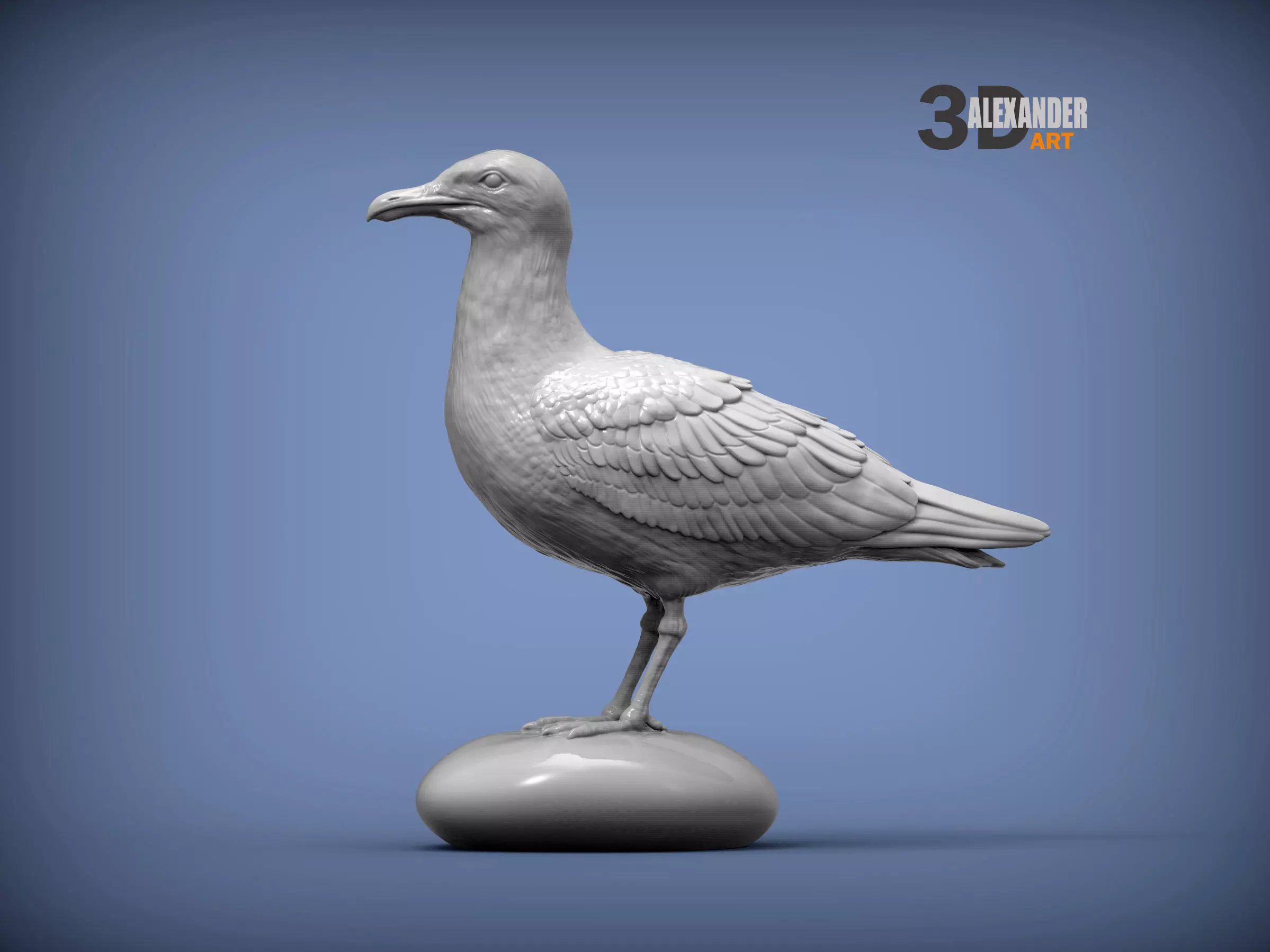 Herring gull 3D print model_0