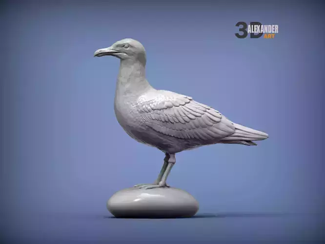Herring gull 3D print model