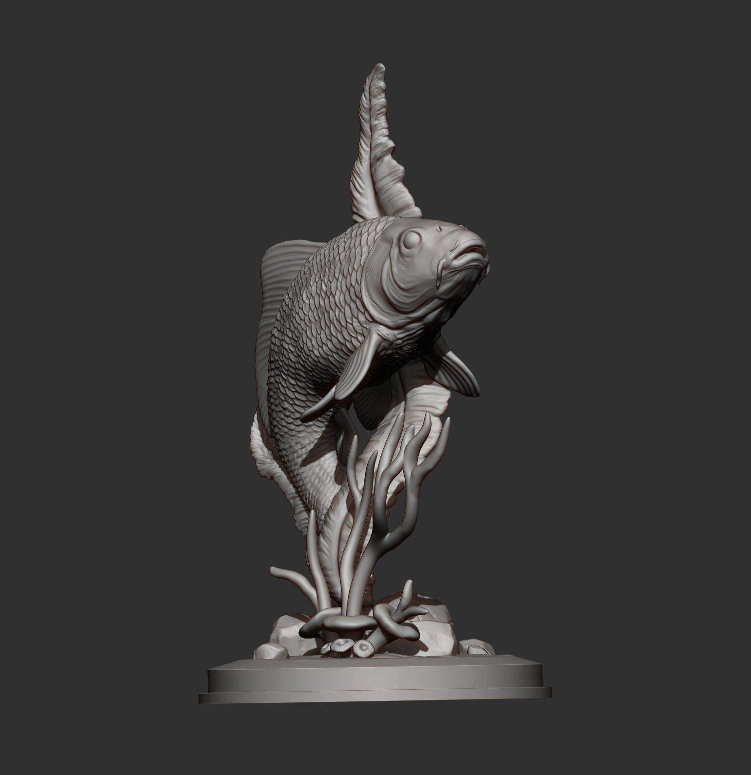 Carp 3D print model 3D print model_7