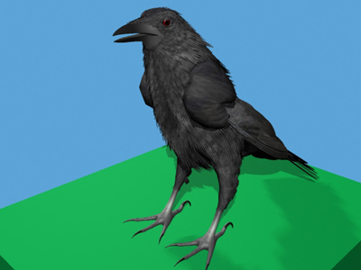 CROW - Fully Rigged For Max 3D model_14