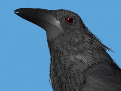CROW - Fully Rigged For Max 3D model_5