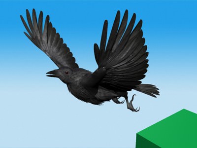 CROW - Fully Rigged For Max 3D model_10