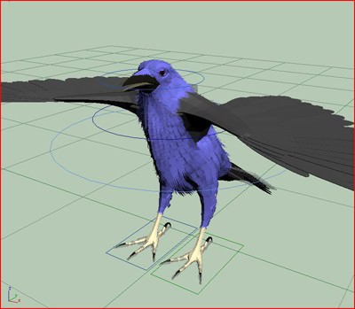 CROW - Fully Rigged For Max 3D model_2