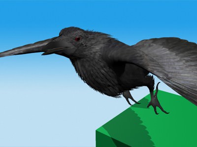 CROW - Fully Rigged For Max 3D model_9