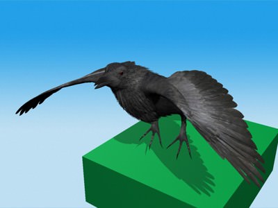 CROW - Fully Rigged For Max 3D model_8