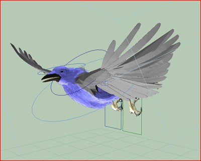 CROW - Fully Rigged For Max 3D model_1