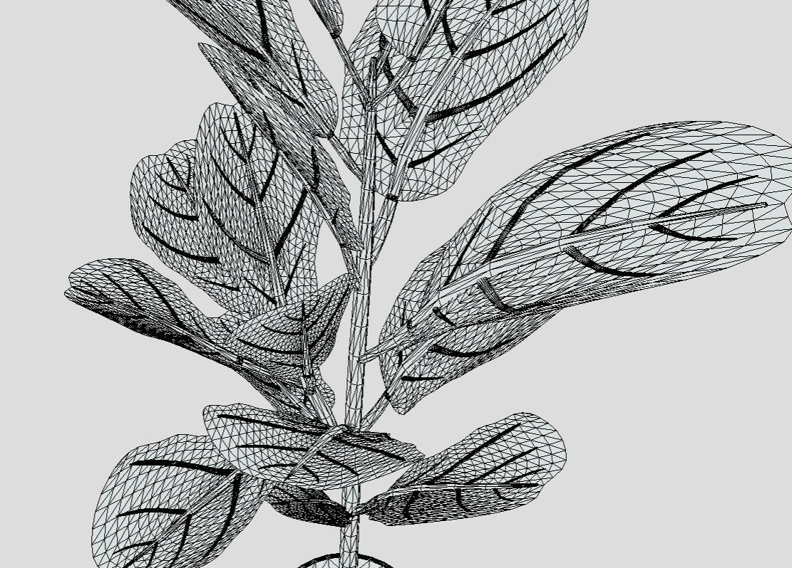 indoor plant 8 Low-poly 3D model_6