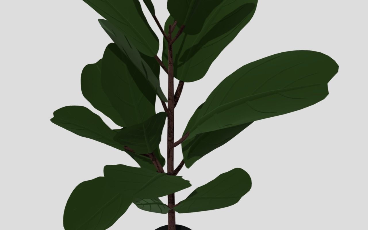 indoor plant 8 Low-poly 3D model_5